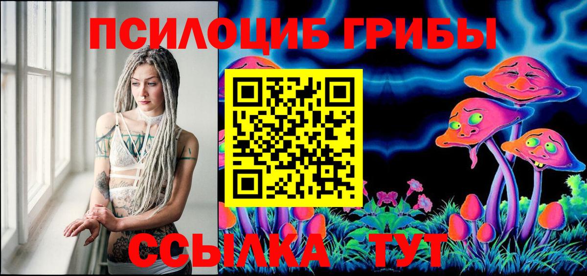 Псилоцибиновые грибы прущие грибы  Вход с VPN  Видное 
